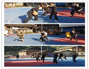 三江县白文村“强、转、树”培训系列剪影之【第五期】