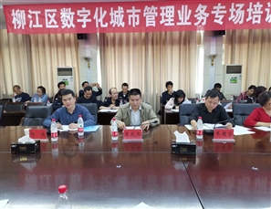 2019年“3.19城市管理日”系列活动之柳江区数管业务知识专场培训
